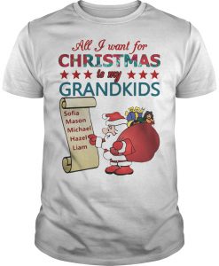All I want for christmas is my grandkids shirt