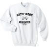 Gryffindor Quidditch Team Seeker