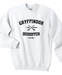 Gryffindor Quidditch Team Seeker