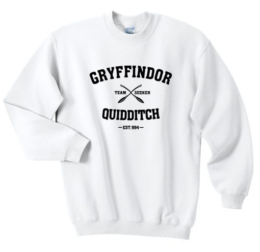Gryffindor Quidditch Team Seeker
