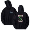 South Side Serpents Pullover Hoodie