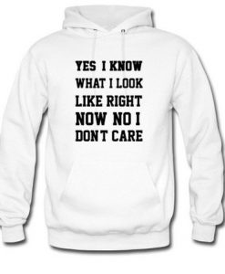 yes i know what i look right now hoodie