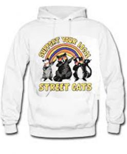 Dabbing Raccoon support your local street cats Hoodie