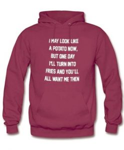 I May Look Like A Potato Now Quote Hoodie