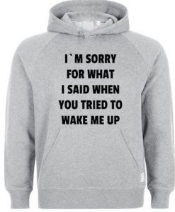 I’m Sorry For What I Said When You Tried To Hoodie