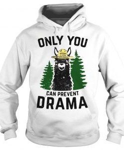 Llama only you can prevent drama Hoodie