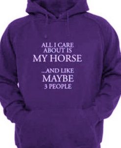 All I Care About Is My Horse And Like Maybe 3 People Hoodie